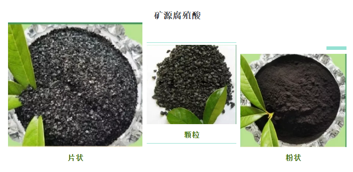 看過來！帶你了解司普沃赫蔓核心成分-礦源腐殖酸