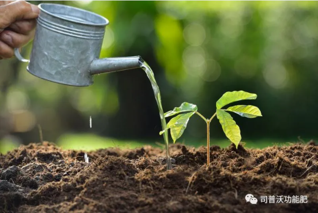 如何識別土壤酸堿性？6招讓你成為判斷高手！