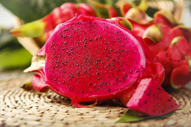 火龍果不甜是怎么回事？如何增甜？司普沃來幫您