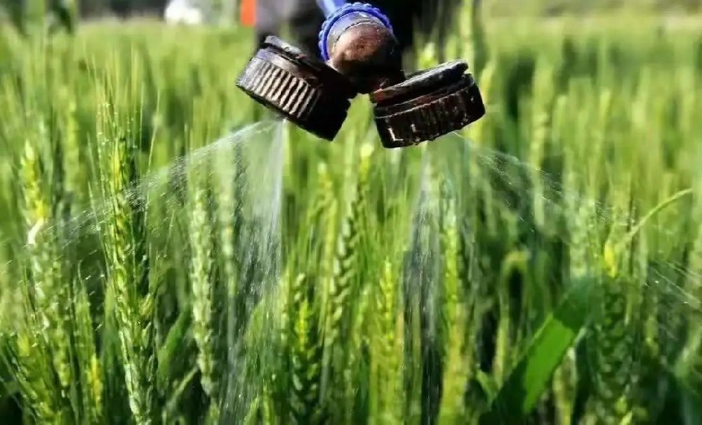 如何科學(xué)施用葉面肥？種植戶可長點心！