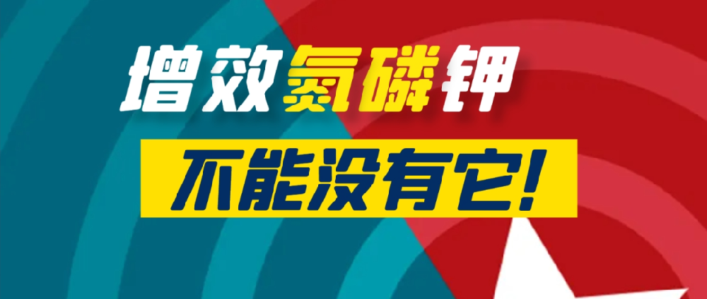 要想作物長得好，中量元素少不了！