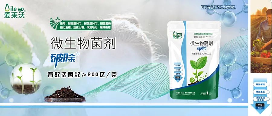 愛(ài)萊沃微生物菌劑破除.jpg