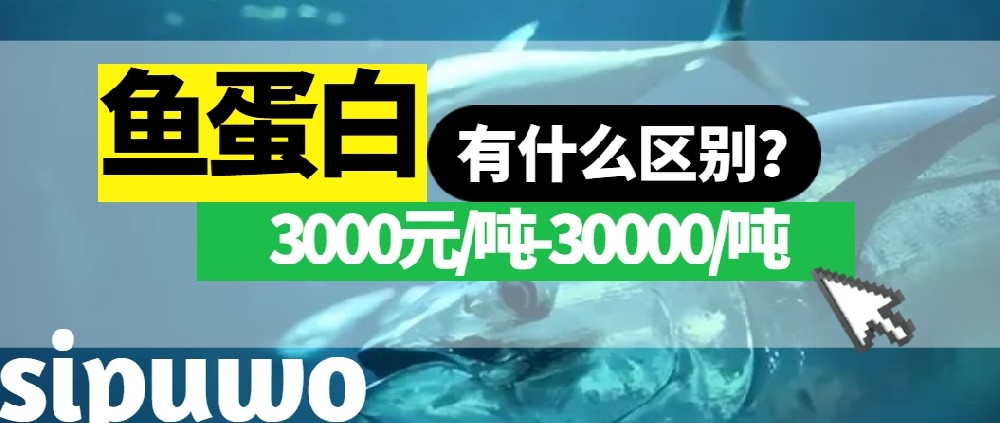 3000-30000元/噸的魚蛋白有多大差距？一篇文章告訴你！