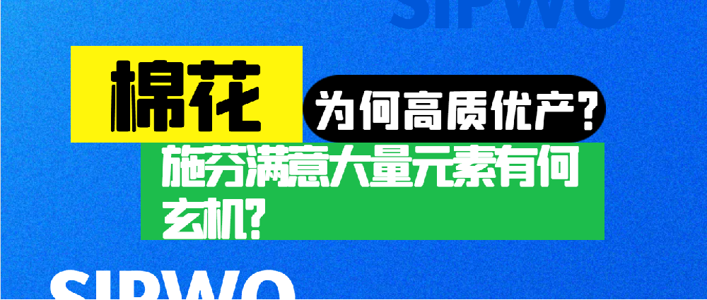 棉花憑啥高產(chǎn)優(yōu)質(zhì)？施芬滿意大量元素有何玄機？